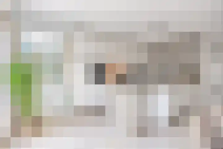Speltveld 14 Beneden-Leeuwen thumbnail 19
