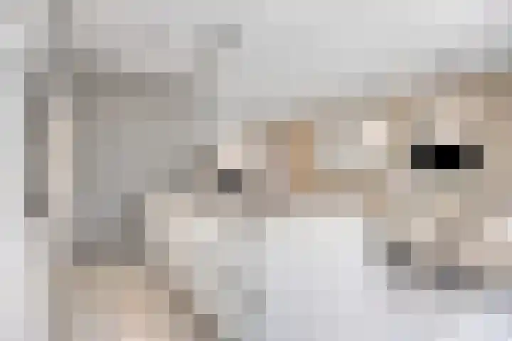 Speltveld 14 Beneden-Leeuwen thumbnail 20