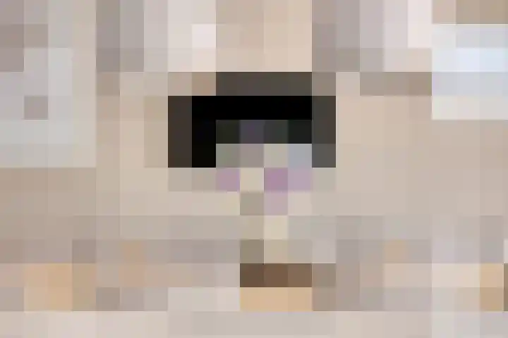 Speltveld 14 Beneden-Leeuwen thumbnail 23
