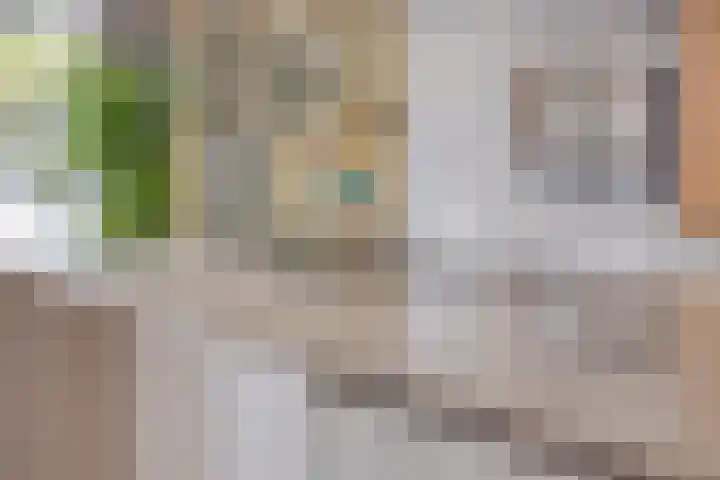 Speltveld 14 Beneden-Leeuwen thumbnail 25