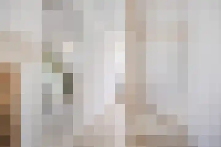 Speltveld 14 Beneden-Leeuwen thumbnail 39