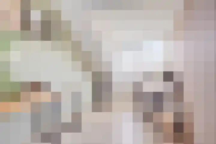 Speltveld 14 Beneden-Leeuwen thumbnail 41
