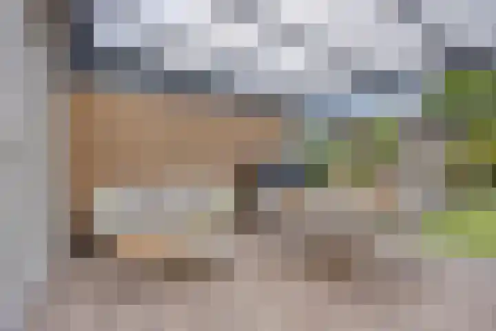Speltveld 14 Beneden-Leeuwen thumbnail 44