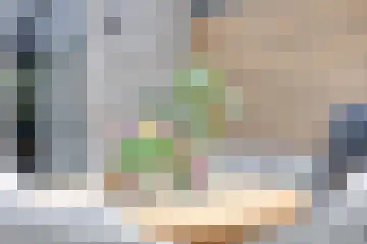 Speltveld 14 Beneden-Leeuwen thumbnail 46