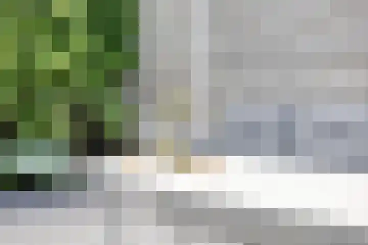 Speltveld 14 Beneden-Leeuwen thumbnail 47