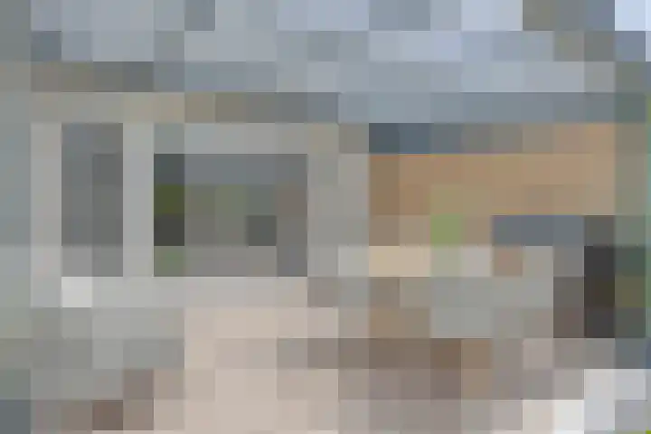 Speltveld 14 Beneden-Leeuwen thumbnail 49