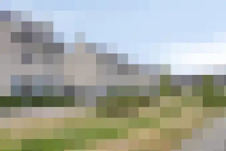 Speltveld 14 Beneden-Leeuwen thumbnail 5