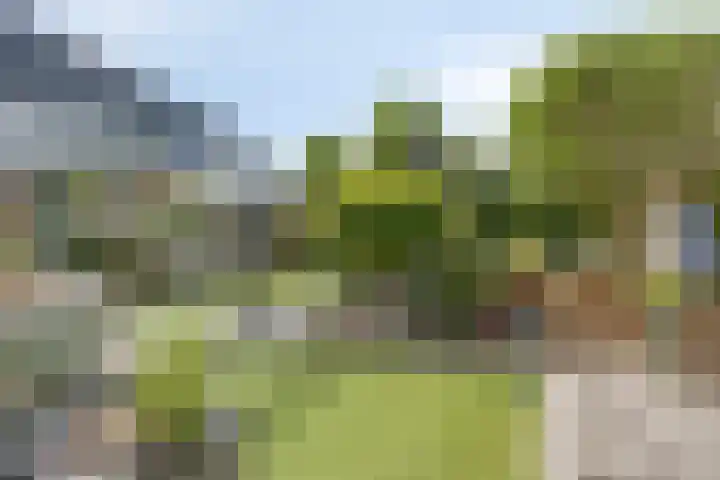 Speltveld 14 Beneden-Leeuwen thumbnail 50