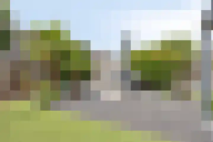 Speltveld 14 Beneden-Leeuwen thumbnail 51