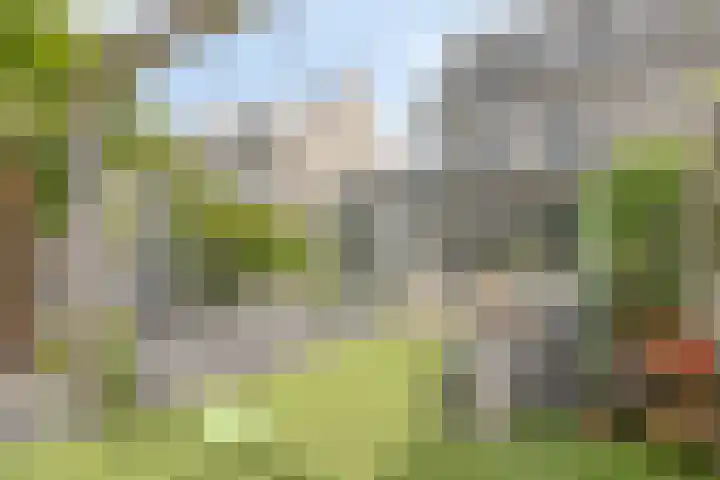 Speltveld 14 Beneden-Leeuwen thumbnail 52