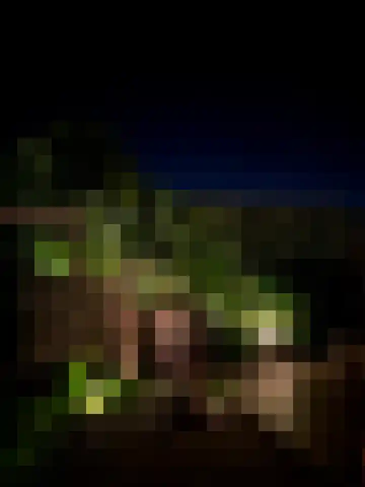 Speltveld 14 Beneden-Leeuwen thumbnail 54