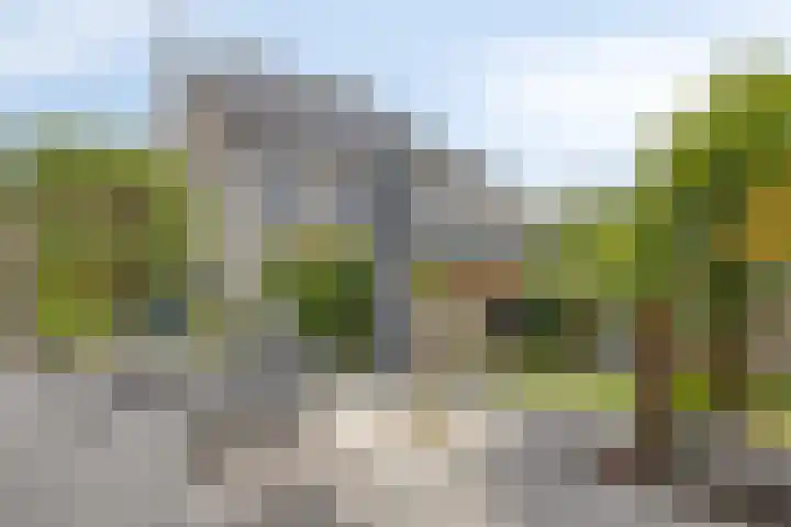 Speltveld 14 Beneden-Leeuwen thumbnail 56