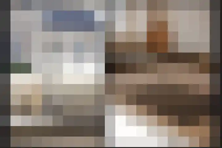 Speltveld 4 Beneden-Leeuwen thumbnail 13