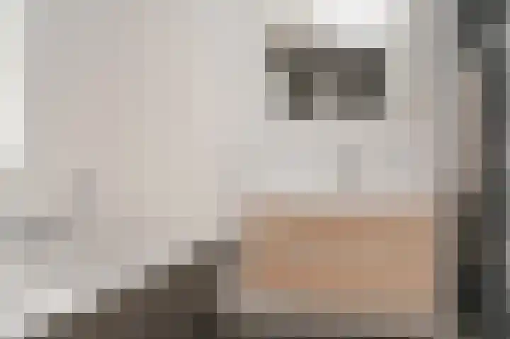 Speltveld 4 Beneden-Leeuwen thumbnail 29