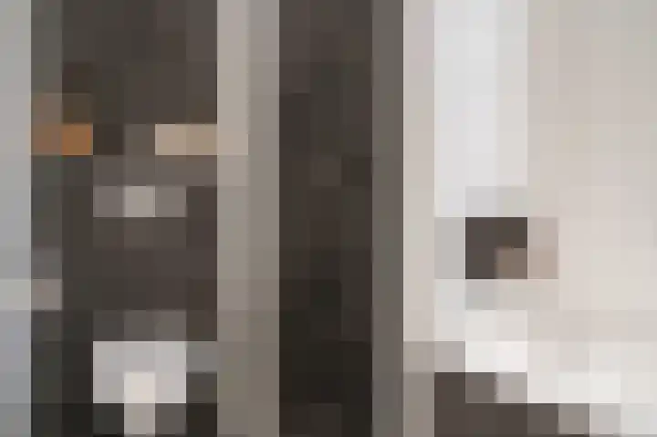 Speltveld 4 Beneden-Leeuwen thumbnail 30