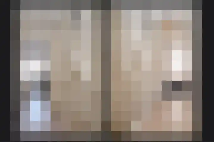Speltveld 4 Beneden-Leeuwen thumbnail 31