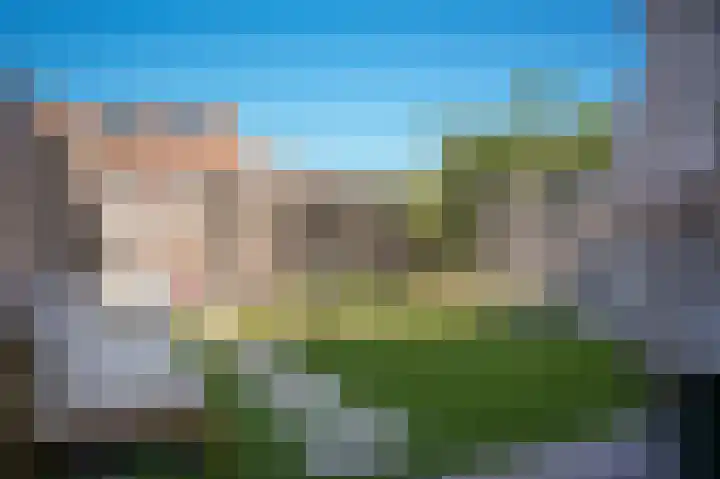 Speltveld 4 Beneden-Leeuwen thumbnail 35