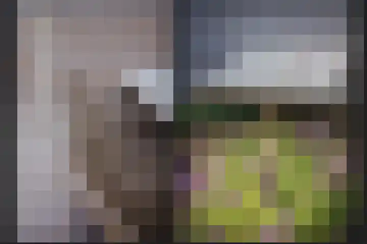 Speltveld 4 Beneden-Leeuwen thumbnail 36
