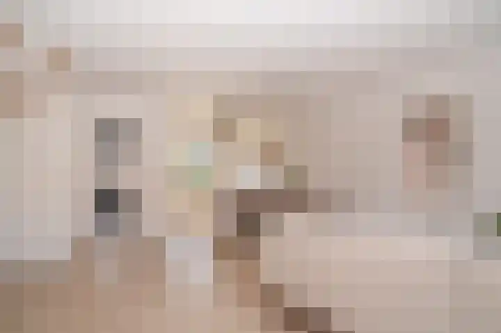 Speltveld 4 Beneden-Leeuwen thumbnail 4