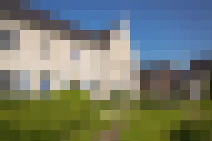 Speltveld 4 Beneden-Leeuwen thumbnail 40