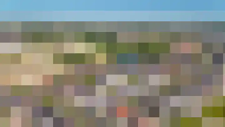 Speltveld 4 Beneden-Leeuwen thumbnail 41