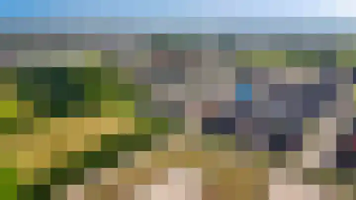 Speltveld 4 Beneden-Leeuwen thumbnail 42