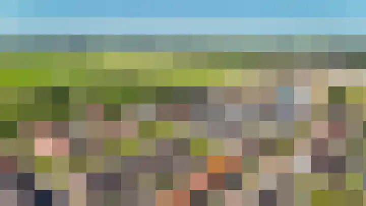 Speltveld 4 Beneden-Leeuwen thumbnail 43