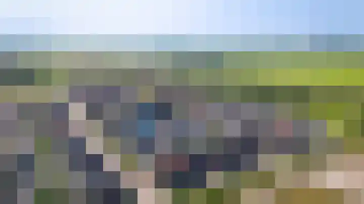 Speltveld 4 Beneden-Leeuwen thumbnail 44