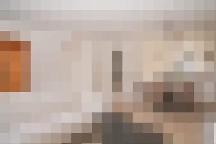 Speltveld 4 Beneden-Leeuwen thumbnail 7
