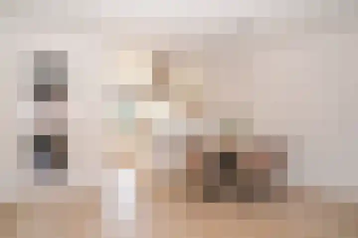 Speltveld 4 Beneden-Leeuwen thumbnail 8