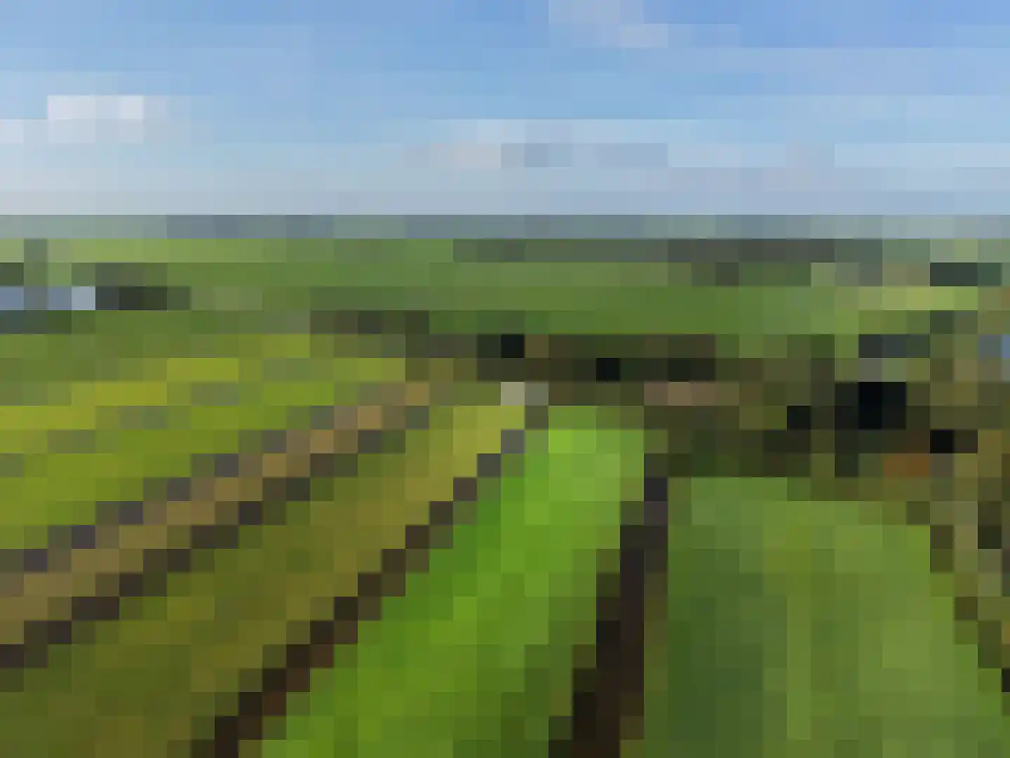 Spengen 31 Kockengen thumbnail 49