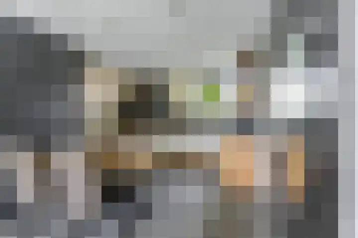 Spengenpad 11 Amsterdam thumbnail 14