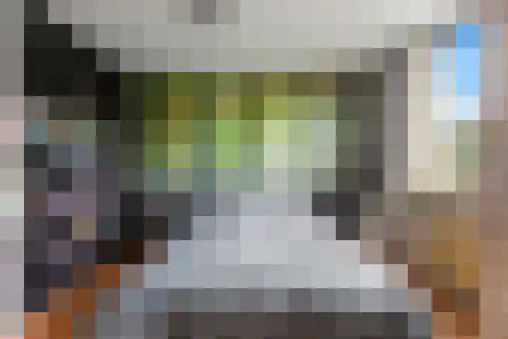 Spengenpad 11 Amsterdam thumbnail 18