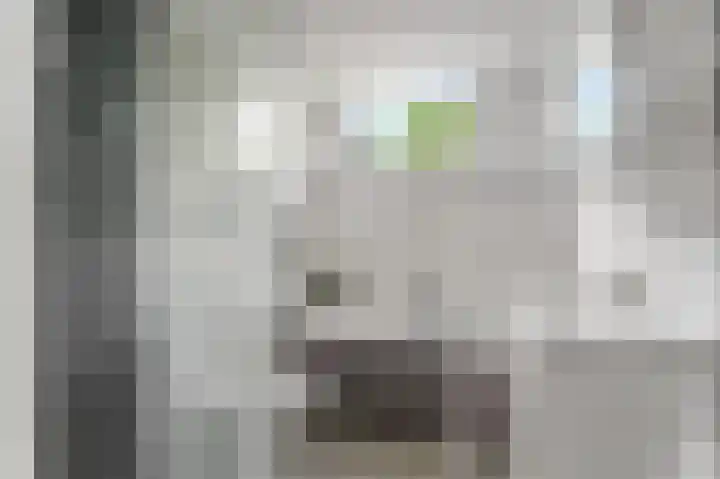 Spengenpad 11 Amsterdam thumbnail 30
