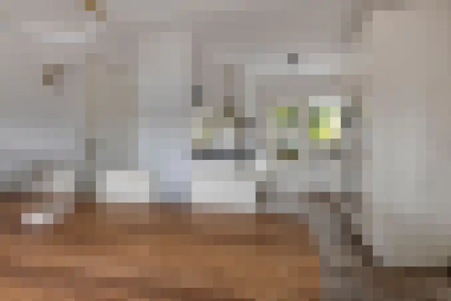 Sperwer 10 Bunschoten-Spakenburg thumbnail 18