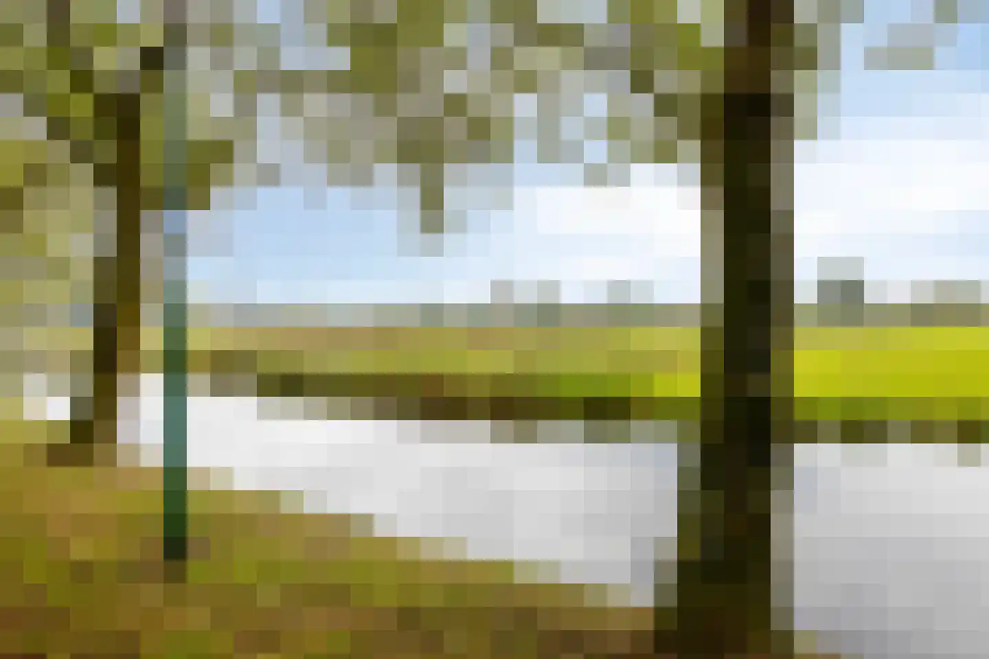 Sperwer 10 Bunschoten-Spakenburg thumbnail 4
