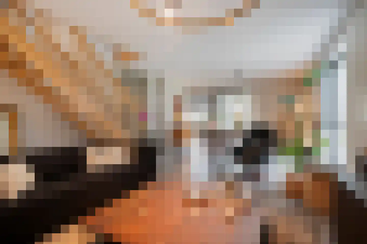 Sperwer 10 Terneuzen thumbnail 10