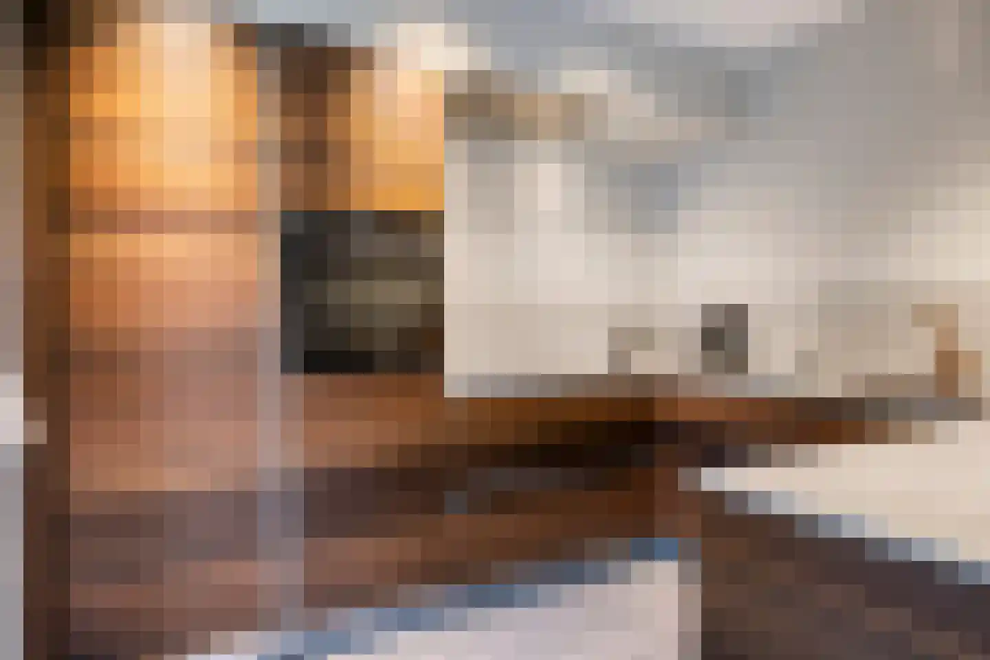 Sperwer 10 Terneuzen foto 2