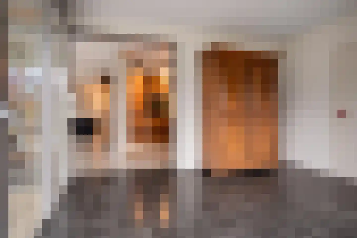 Sperwer 10 Terneuzen thumbnail 20