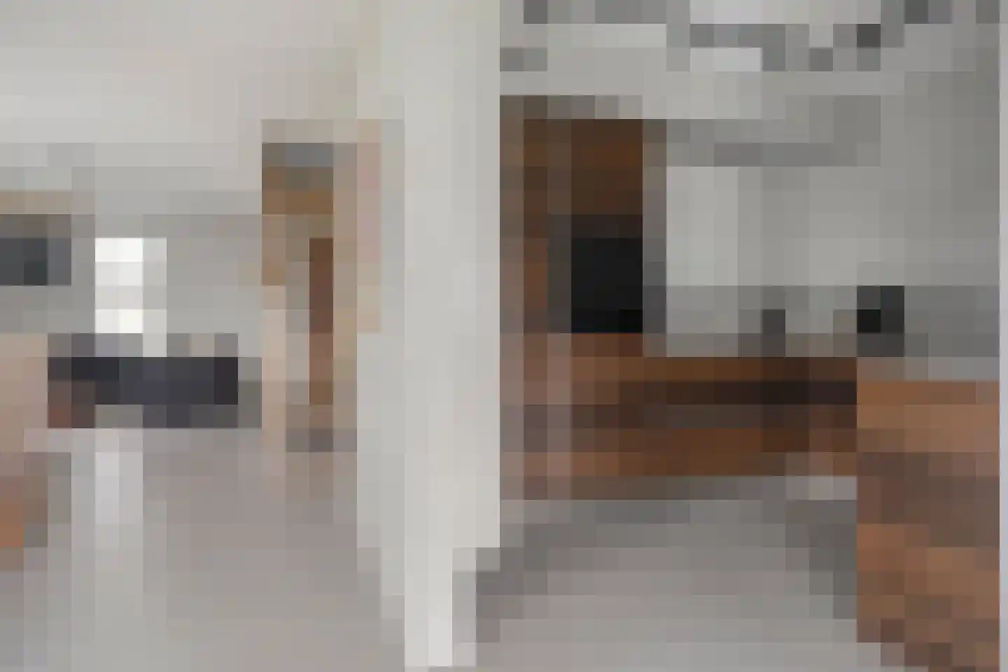 Sperwer 10 Terneuzen thumbnail 22
