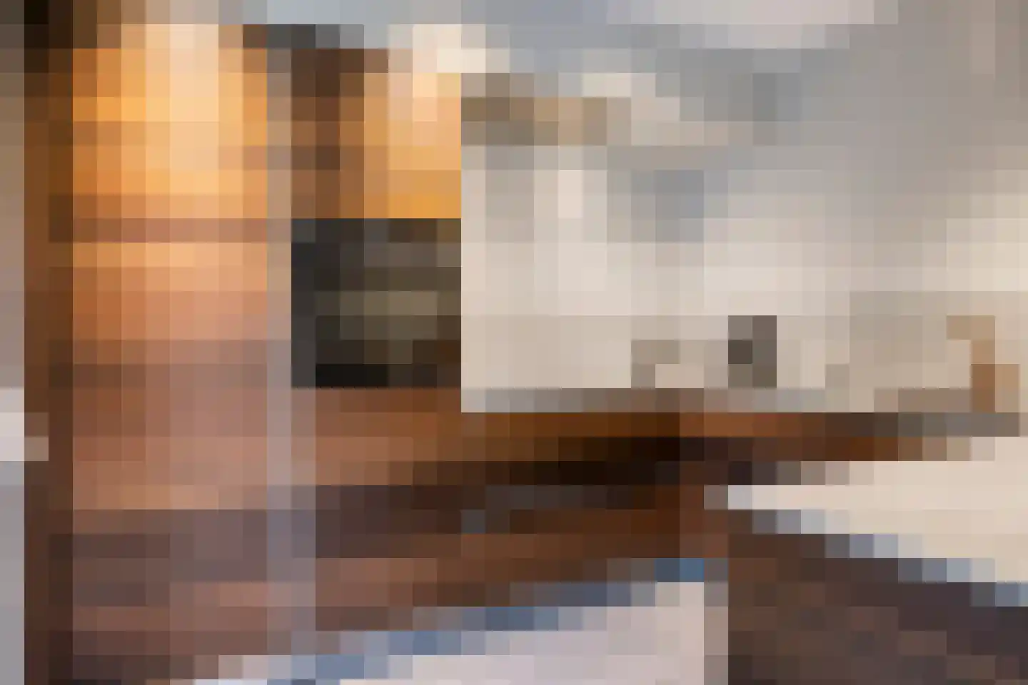 Sperwer 10 Terneuzen thumbnail 24