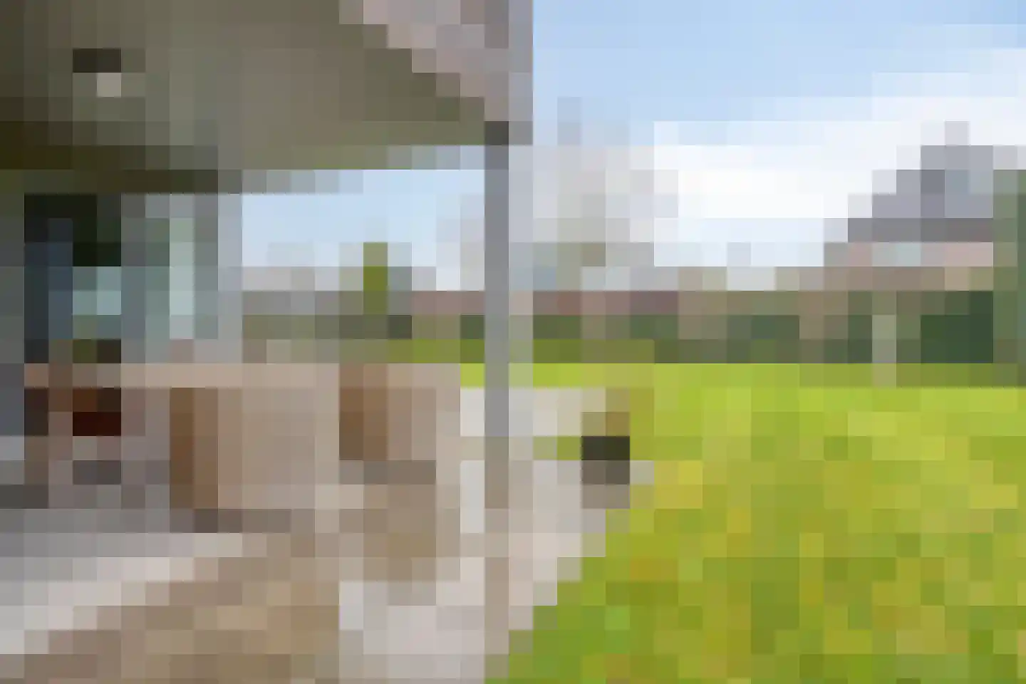 Sperwer 10 Terneuzen thumbnail 46