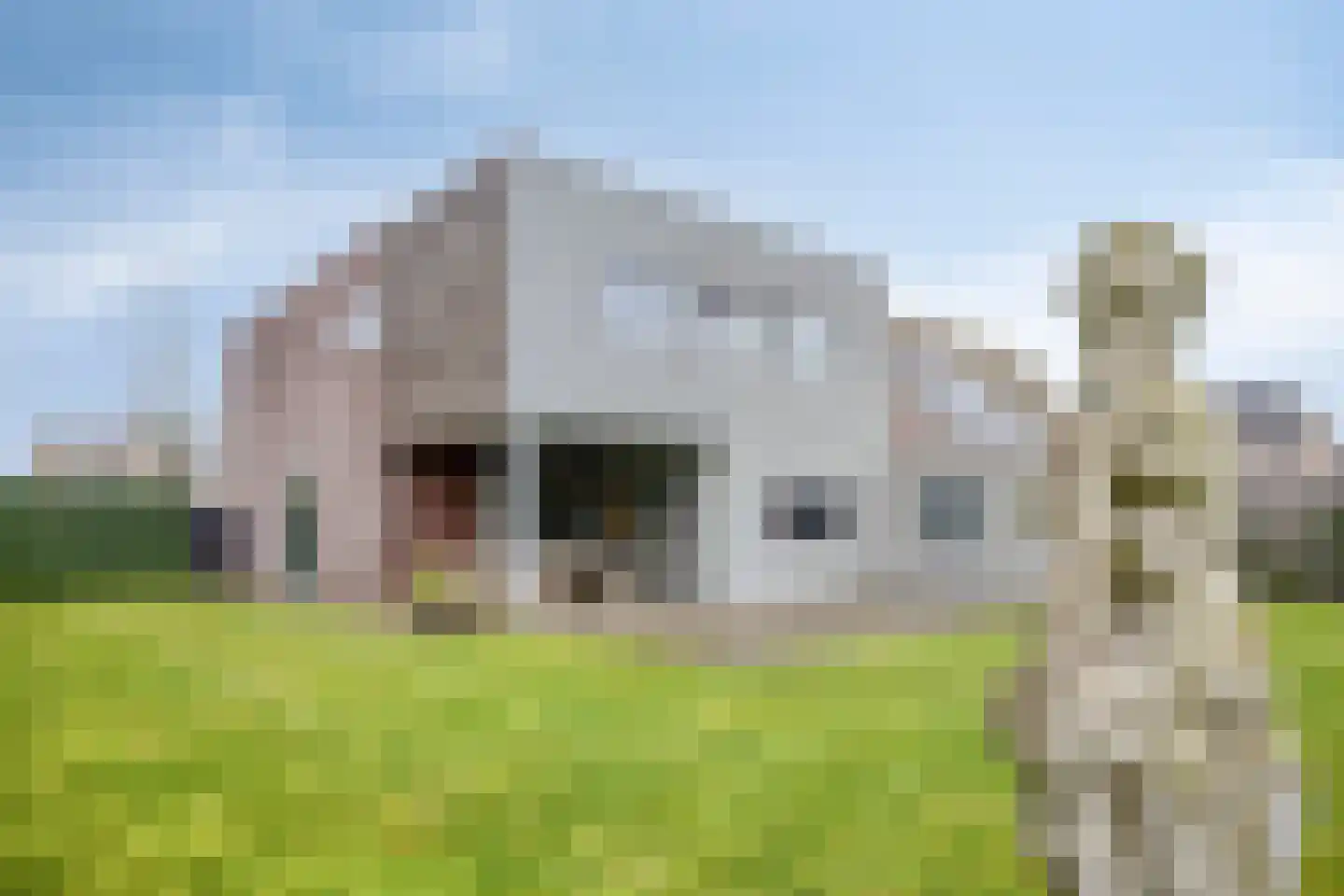 Sperwer 10 Terneuzen thumbnail 47