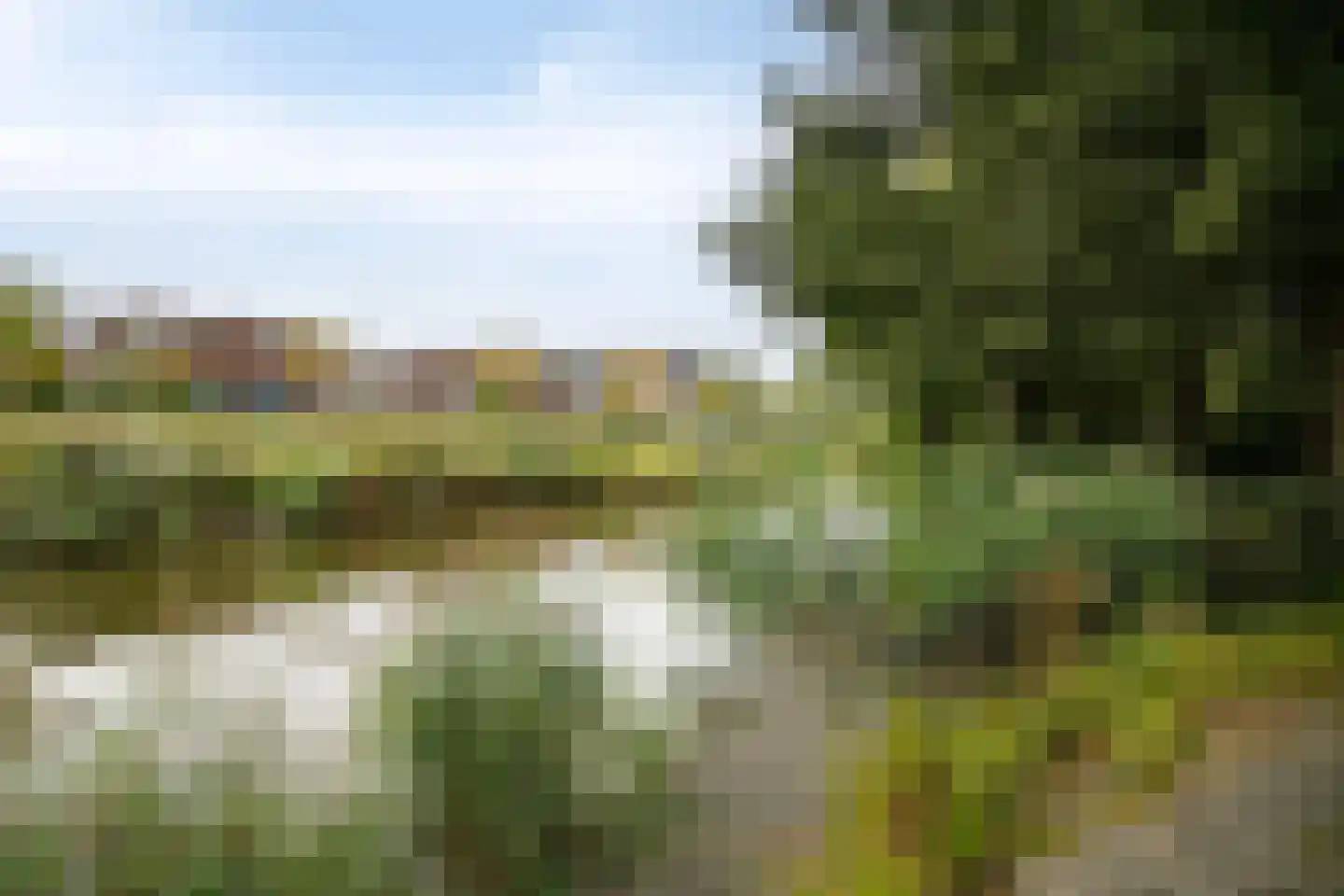 Sperwer 10 Terneuzen thumbnail 49