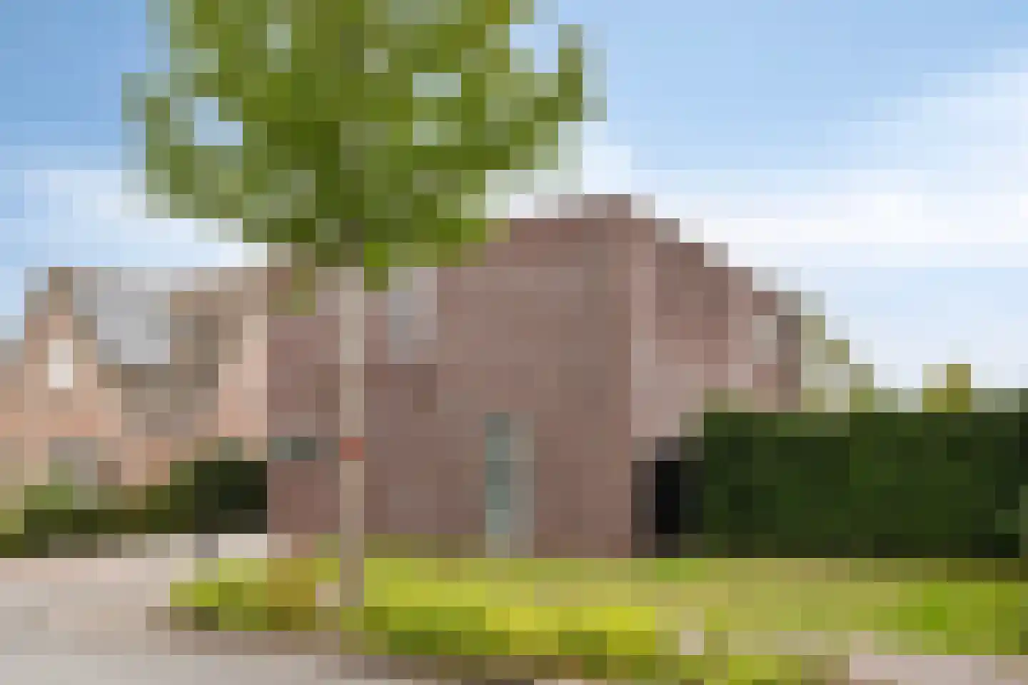 Sperwer 10 Terneuzen thumbnail 5