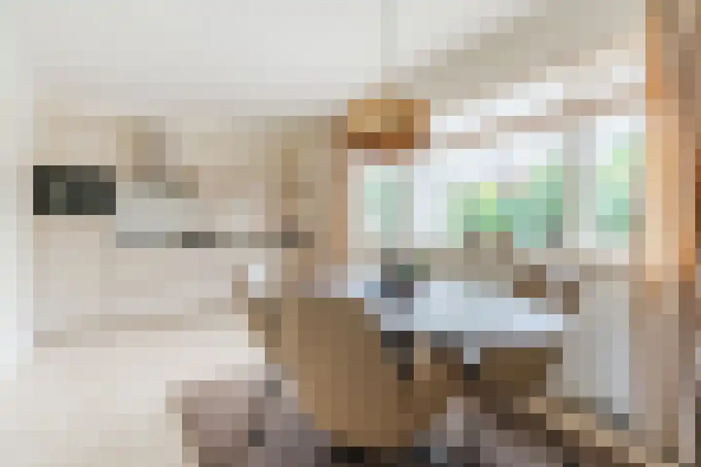 Sperwer 11 Veldhoven thumbnail 14