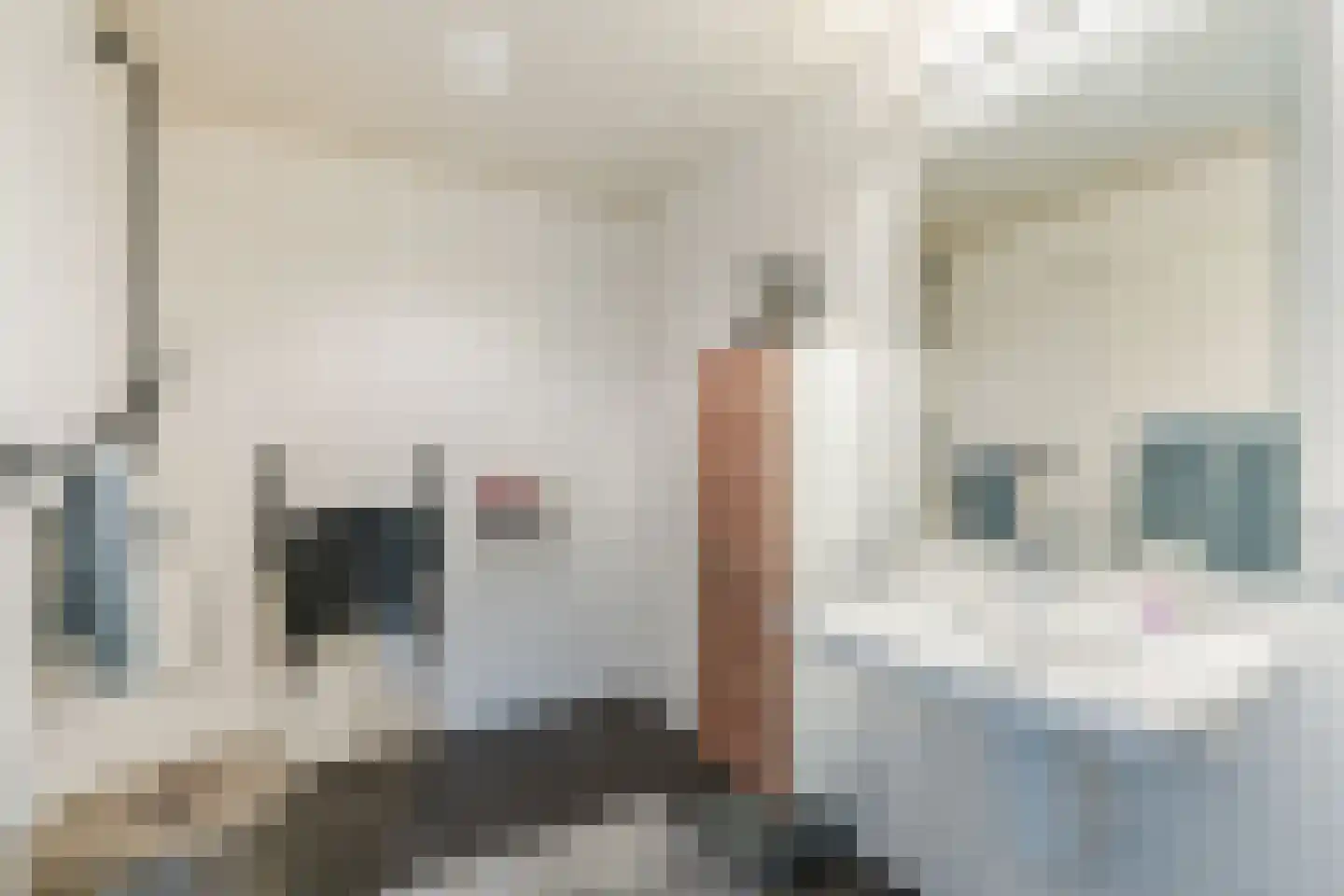 Sperwer 11 Veldhoven thumbnail 22