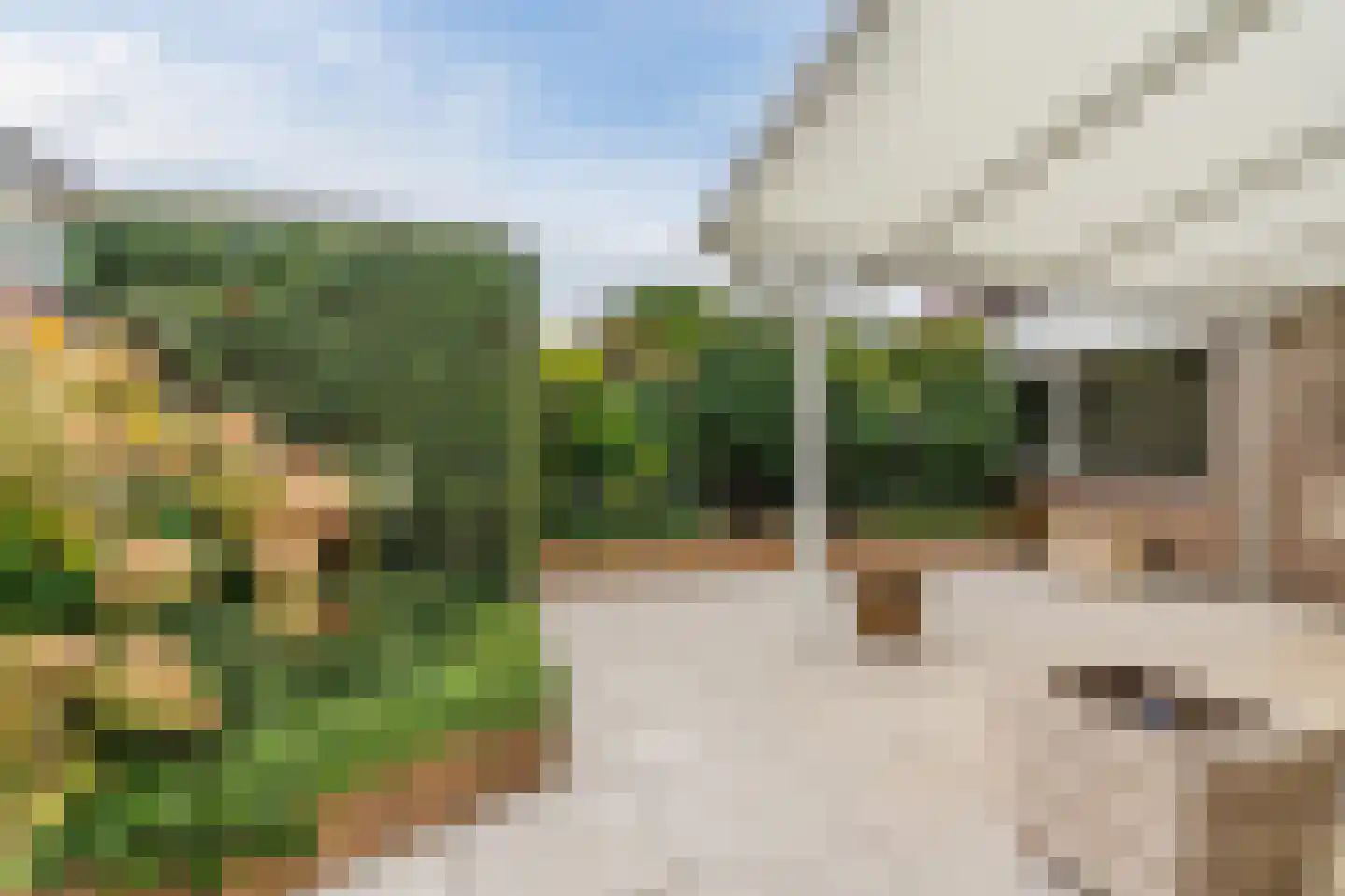 Sperwer 11 Veldhoven thumbnail 28