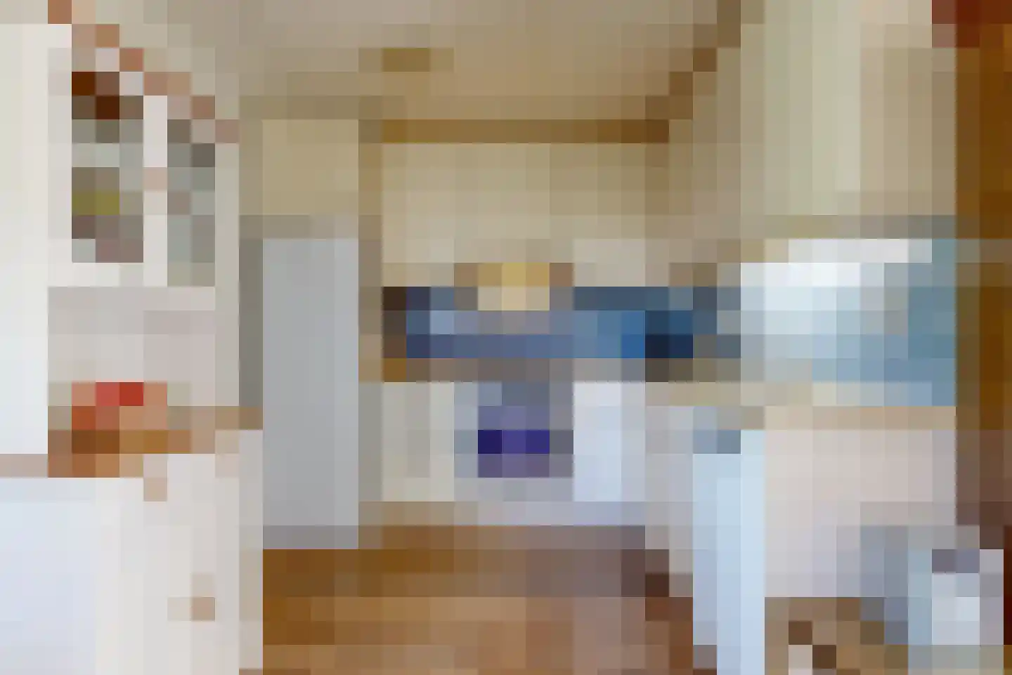 Sperwer 14 Tollebeek thumbnail 10