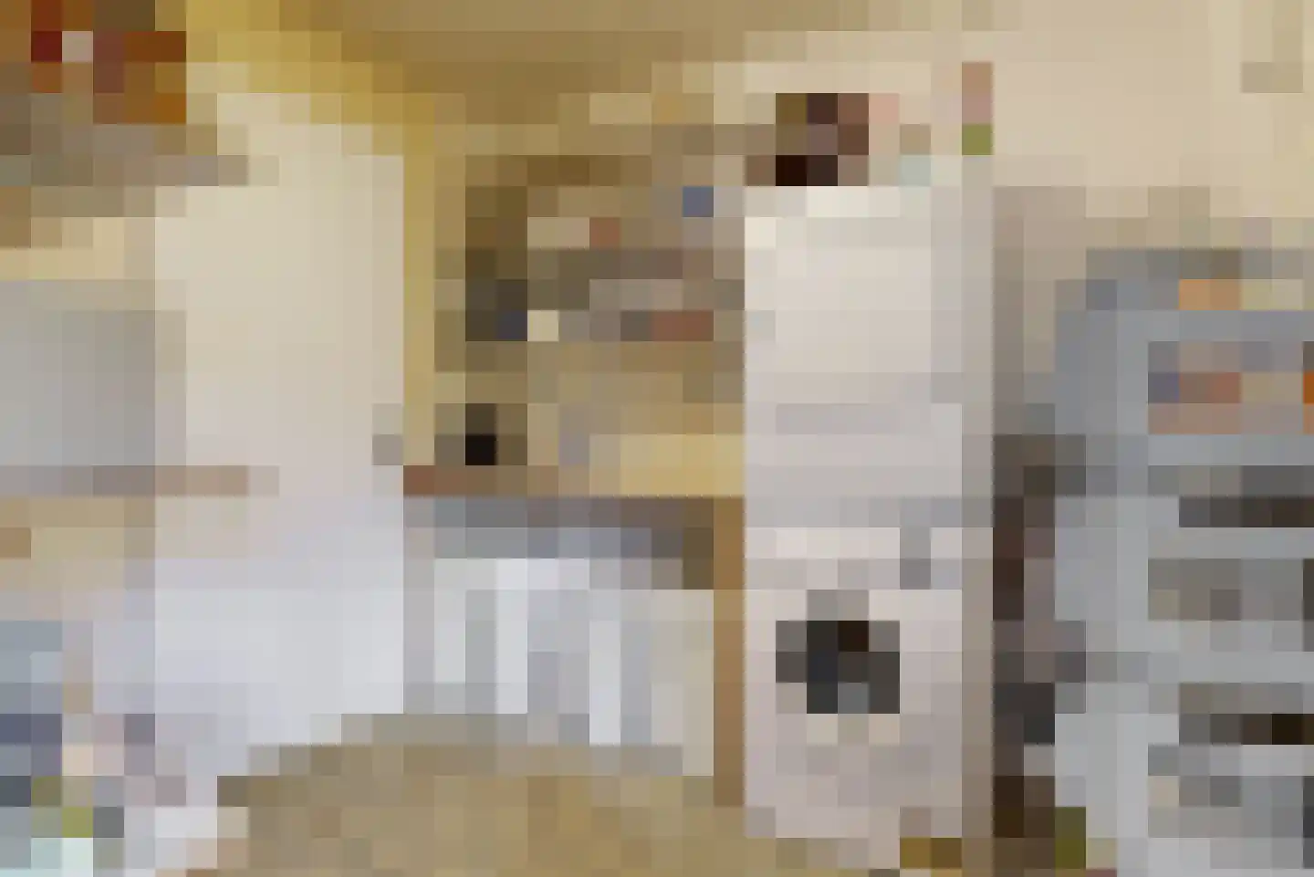 Sperwer 14 Tollebeek thumbnail 11